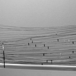 2001-Collection particulière